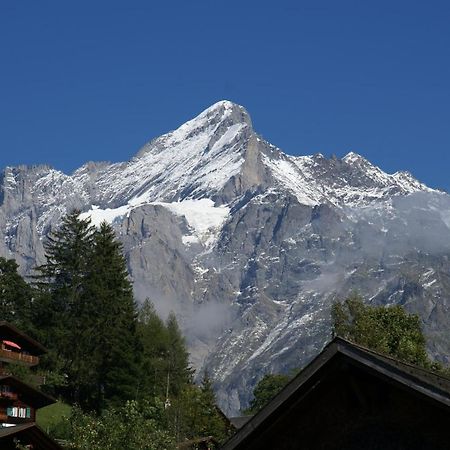 Apartment Baereggblick - Griwa Rent Ag Grindelwald Zewnętrze zdjęcie