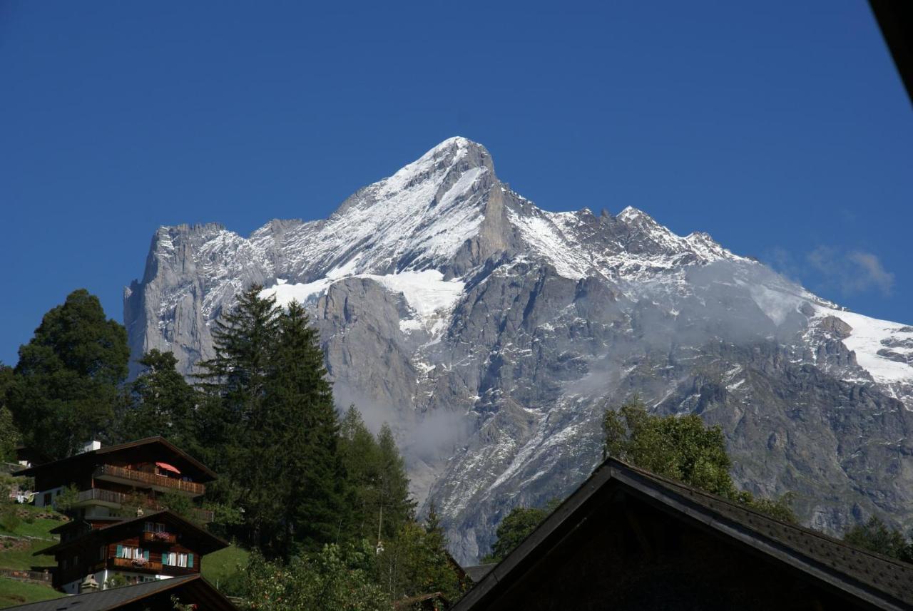 Apartment Baereggblick - Griwa Rent Ag Grindelwald Zewnętrze zdjęcie